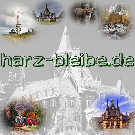 Harz-Bleibe Wernigerode Apartman Kültér fotó