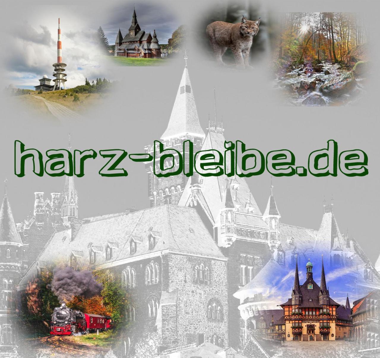 Harz-Bleibe Wernigerode Apartman Kültér fotó